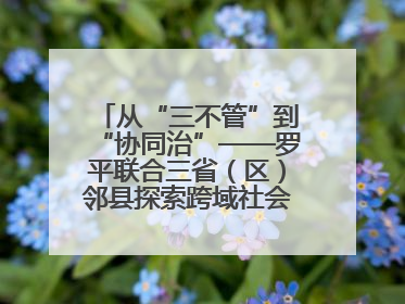 从“三不管”到“协同治”——罗平联合三省（区）邻县探索跨域社会治理新模式