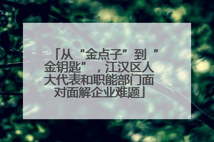 从“金点子”到“金钥匙”，江汉区人大代表和职能部门面对面解企业难题
