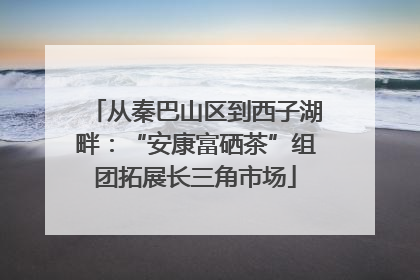 从秦巴山区到西子湖畔：“安康富硒茶”组团拓展长三角市场