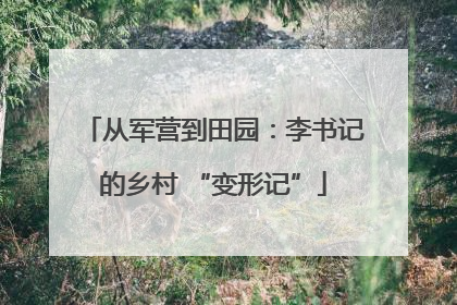 从军营到田园：李书记的乡村 “变形记”