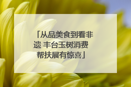 从品美食到看非遗 丰台玉树消费帮扶展有惊喜