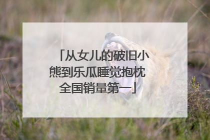 从女儿的破旧小熊到乐瓜睡觉抱枕全国销量第一
