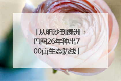 从明沙到绿洲：巴图26年种出700亩生态防线