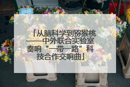 从脑科学到猕猴桃——中外联合实验室奏响“一带一路”科技合作交响曲
