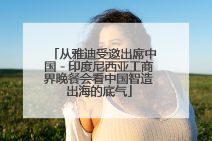 从雅迪受邀出席中国－印度尼西亚工商界晚餐会看中国智造出海的底气