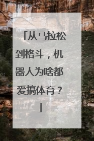 从马拉松到格斗，机器人为啥都爱搞体育？