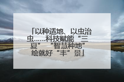 以种适地、以虫治虫……科技赋能“三夏” “智慧种地”绘就好“丰”景