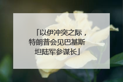以伊冲突之际，特朗普会见巴基斯坦陆军参谋长