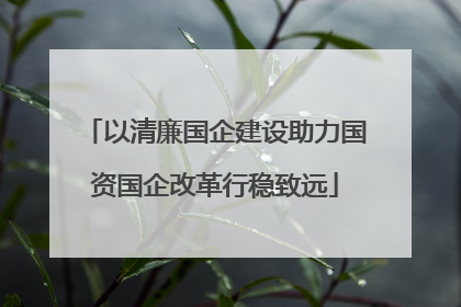 以清廉国企建设助力国资国企改革行稳致远