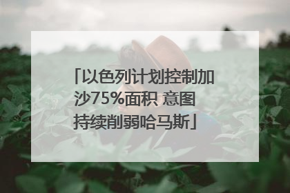 以色列计划控制加沙75%面积 意图持续削弱哈马斯