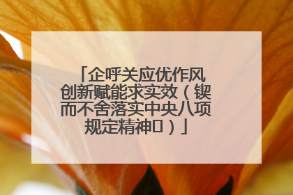 企呼关应优作风 创新赋能求实效（锲而不舍落实中央八项规定精神⑭）