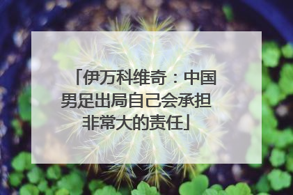 伊万科维奇：中国男足出局自己会承担非常大的责任