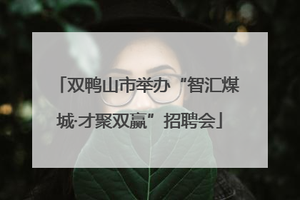 双鸭山市举办“智汇煤城·才聚双赢”招聘会