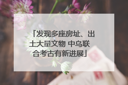 发现多座房址、出土大量文物 中乌联合考古有新进展