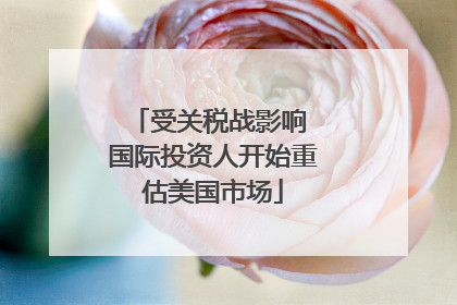 受关税战影响 国际投资人开始重估美国市场