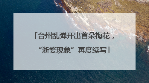 台州乱弹开出首朵梅花，“浙婺现象”再度续写