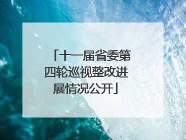 十一届省委第四轮巡视整改进展情况公开