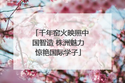 千年窑火映照中国智造 株洲魅力惊艳国际学子