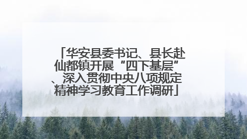 华安县委书记、县长赴仙都镇开展“四下基层”、深入贯彻中央八项规定精神学习教育工作调研