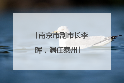 南京市副市长李晖，调任泰州