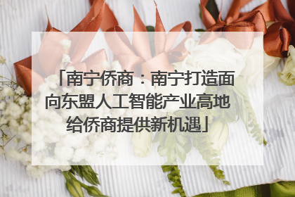 南宁侨商：南宁打造面向东盟人工智能产业高地给侨商提供新机遇