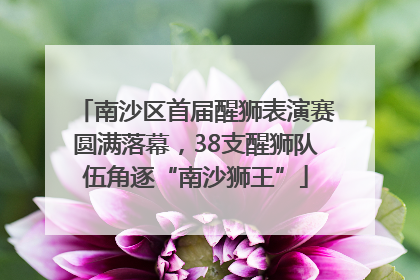 南沙区首届醒狮表演赛圆满落幕，38支醒狮队伍角逐“南沙狮王”