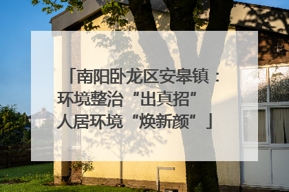 南阳卧龙区安皋镇：环境整治“出真招” 人居环境“焕新颜”