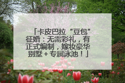 卡皮巴拉“豆包”征婚：无需彩礼，有正式编制，嫁妆豪华别墅＋专属泳池！