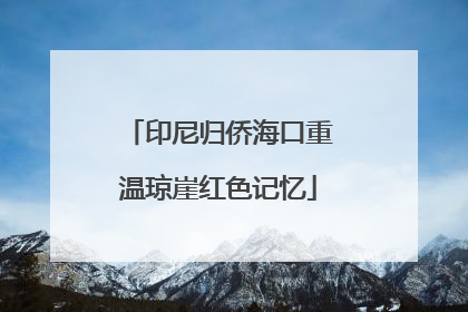 印尼归侨海口重温琼崖红色记忆