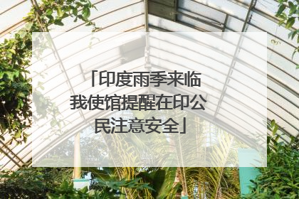 印度雨季来临 我使馆提醒在印公民注意安全