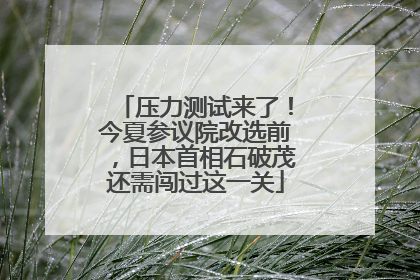 压力测试来了！今夏参议院改选前，日本首相石破茂还需闯过这一关