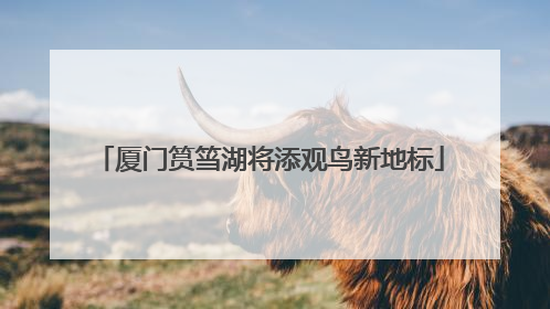 厦门筼筜湖将添观鸟新地标