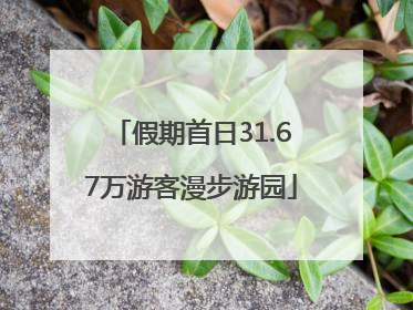 假期首日31.67万游客漫步游园