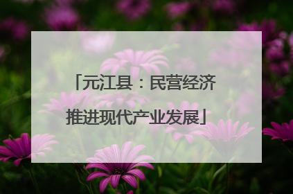元江县：民营经济推进现代产业发展