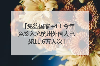 免签国家+4！今年免签入境杭州外国人已超11.6万人次
