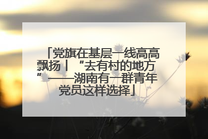 党旗在基层一线高高飘扬丨“去有村的地方”——湖南有一群青年党员这样选择