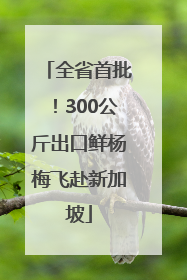 全省首批！300公斤出口鲜杨梅飞赴新加坡