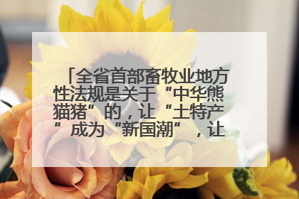 全省首部畜牧业地方性法规是关于“中华熊猫猪”的，让“土特产”成为“新国潮”，让“农产品”升格为“城市IP”