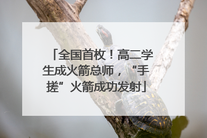 全国首枚！高二学生成火箭总师，“手搓”火箭成功发射
