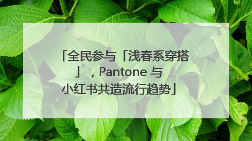 全民参与「浅春系穿搭」，Pantone 与小红书共造流行趋势