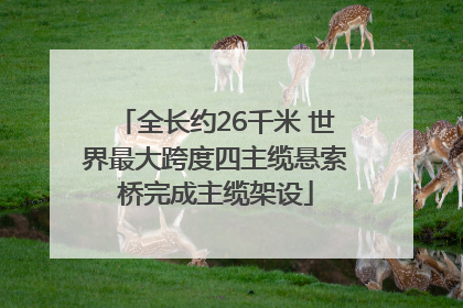 全长约26千米 世界最大跨度四主缆悬索桥完成主缆架设