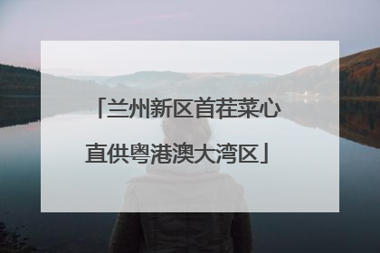 兰州新区首茬菜心直供粤港澳大湾区