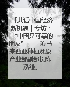 共话中国经济新机遇｜专访：“中国是可靠的朋友”——访马来西亚种植及原产业部副部长陈泓缣