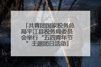 共青团国家税务总局平江县税务局委员会举行“五四青年节”主题团日活动
