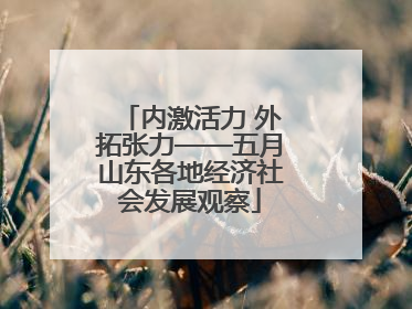 内激活力 外拓张力——五月山东各地经济社会发展观察