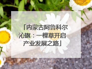 内蒙古阿鲁科尔沁旗：一棵草开启产业发展之路