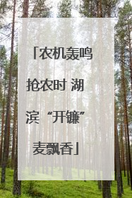 农机轰鸣抢农时 湖滨“开镰”麦飘香