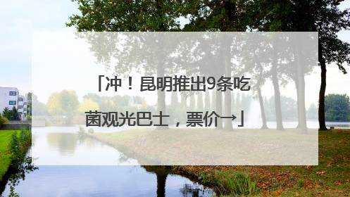 冲！昆明推出9条吃菌观光巴士，票价→