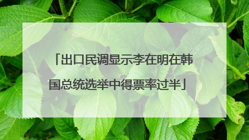 出口民调显示李在明在韩国总统选举中得票率过半