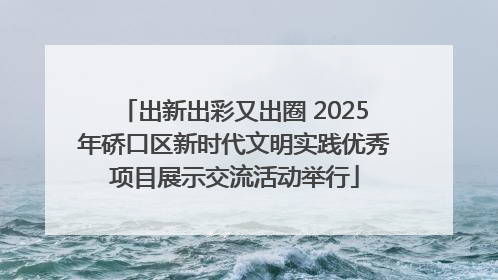 出新出彩又出圈 2025年硚口区新时代文明实践优秀项目展示交流活动举行